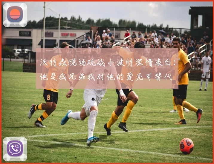 沃特森现场观战小波特深情表白：他是我兄弟我对他的爱无可替代