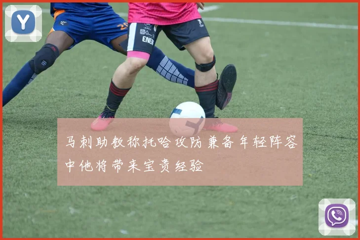 马刺助教称托哈攻防兼备年轻阵容中他将带来宝贵经验