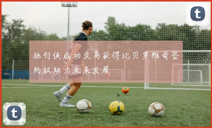 独行侠成功交易获得比贝罗维奇签约权助力未来发展
