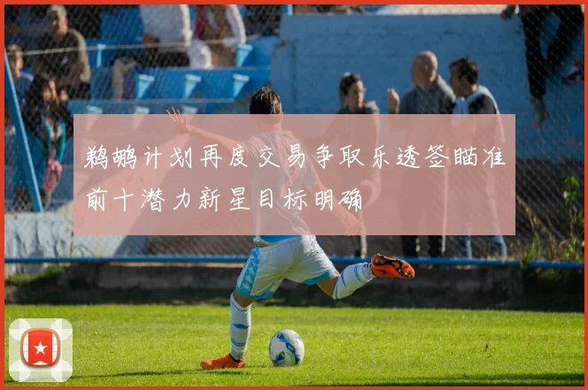 鹈鹕计划再度交易争取乐透签瞄准前十潜力新星目标明确